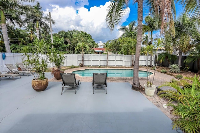 view of swimming pool with a patio area