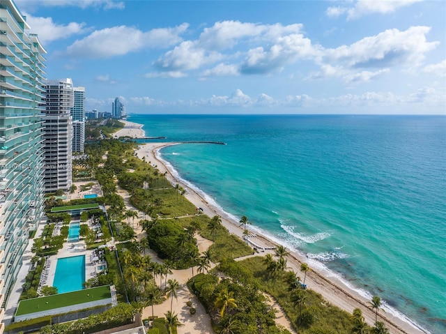 property view of water with a beach view