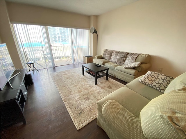 living room featuring hardwood / wood-style flooring