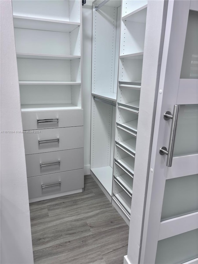 spacious closet featuring dark hardwood / wood-style flooring