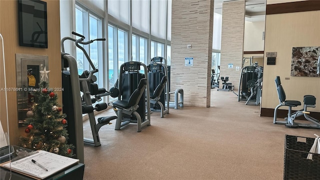 exercise room featuring a towering ceiling