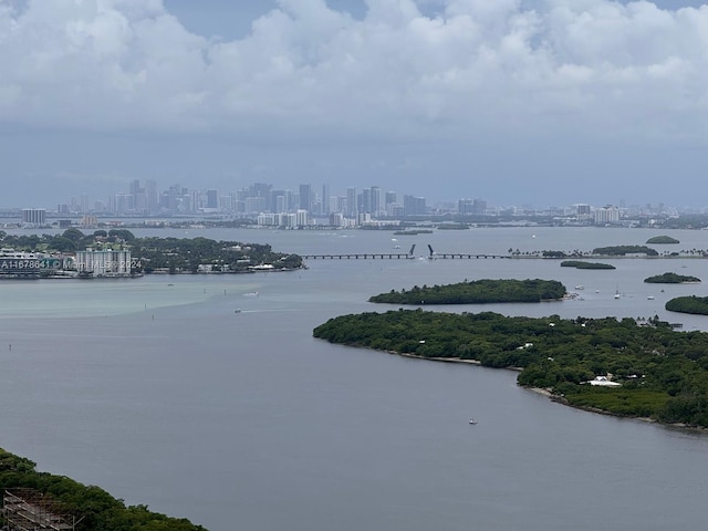 property view of water