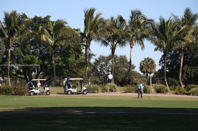 view of community featuring a lawn