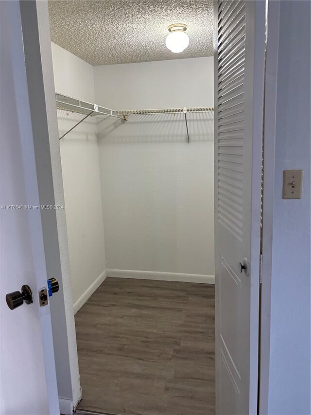 spacious closet featuring dark hardwood / wood-style floors