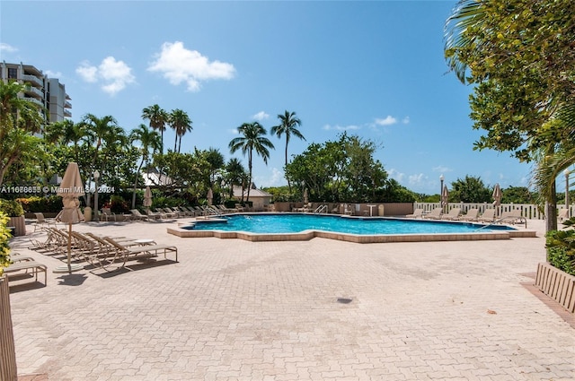 view of swimming pool featuring a patio area