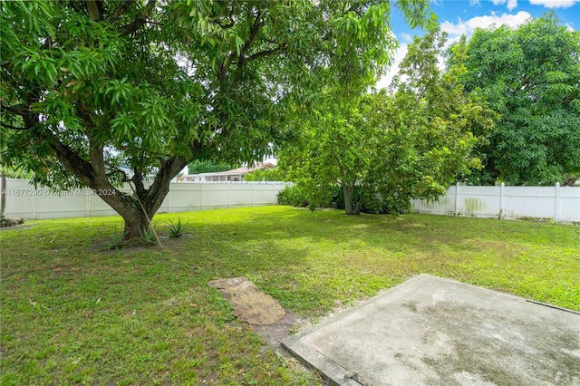 view of yard with a patio area