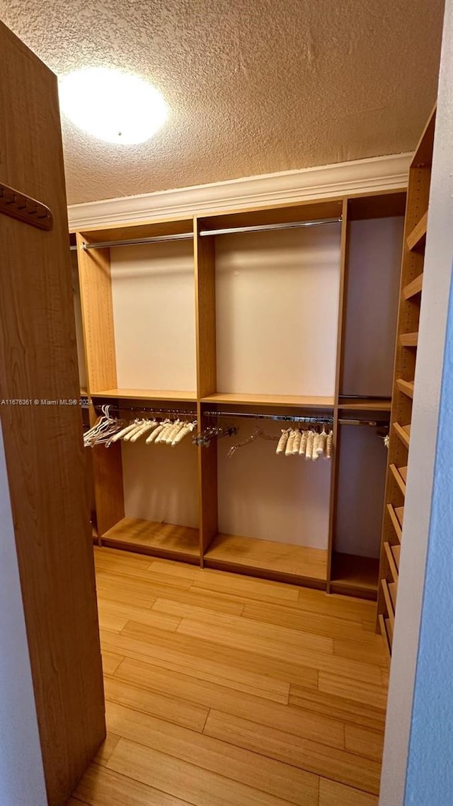 walk in closet with wood-type flooring