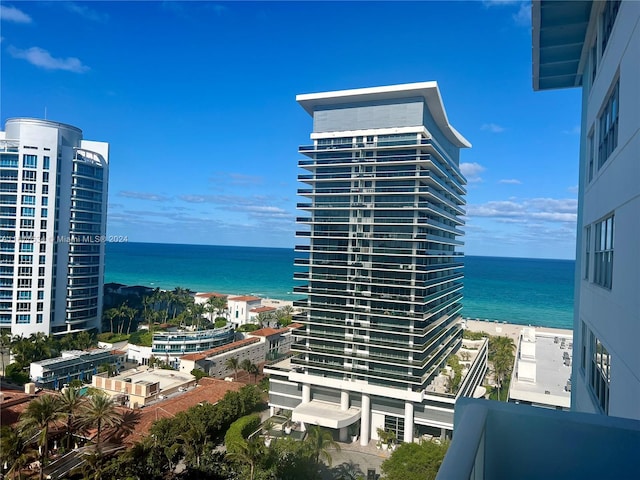 water view with a view of the beach