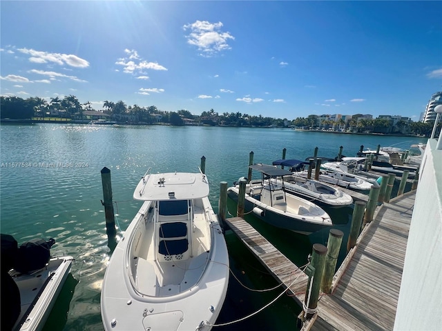 dock area featuring a water view