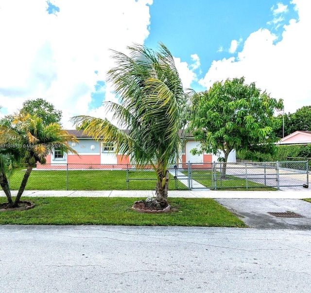 view of community with a lawn