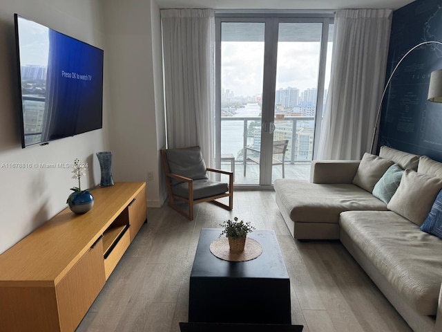 living room with a healthy amount of sunlight and light hardwood / wood-style floors