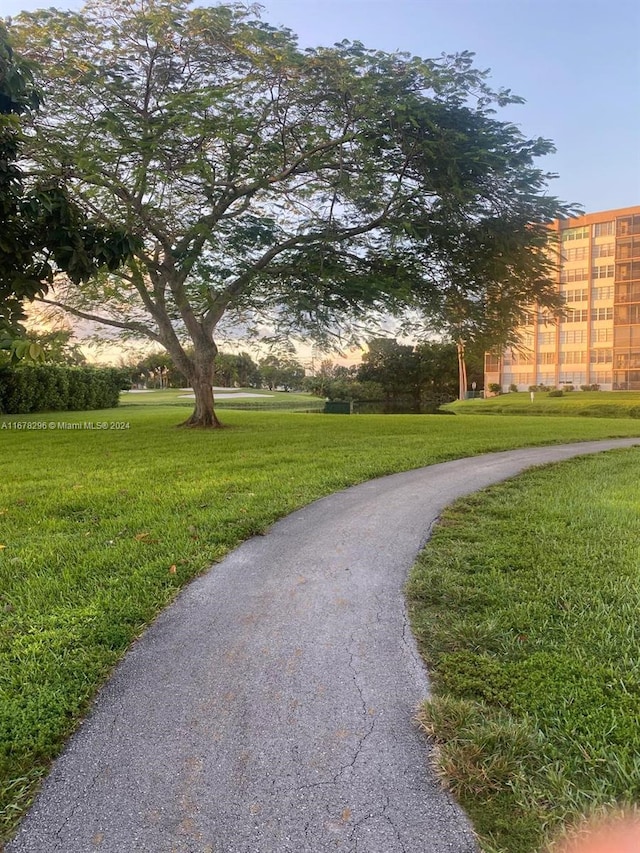 view of community featuring a yard