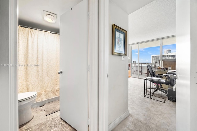 corridor with light carpet and floor to ceiling windows