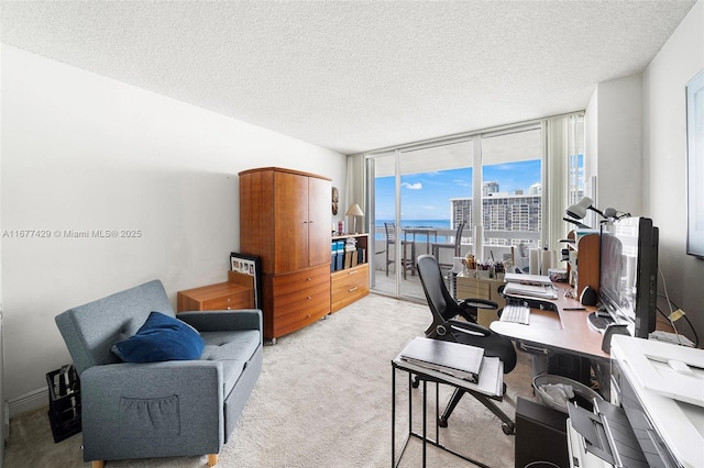 home office with light carpet, a wall of windows, and a textured ceiling