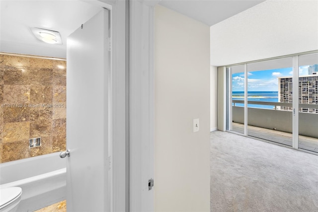 1627 Brickell Ave Unit 1906, Miami, FL 33129 - bathroom featuring a water view and shower / tub combination