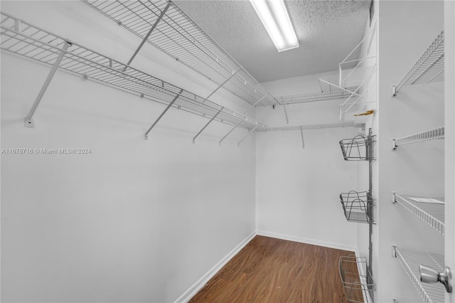 spacious closet featuring dark wood-type flooring