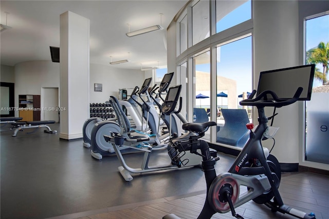 exercise room with hardwood / wood-style floors and plenty of natural light