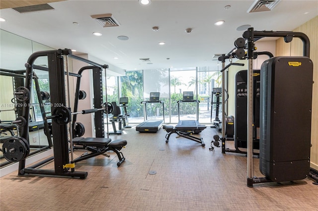 exercise room featuring carpet and floor to ceiling windows