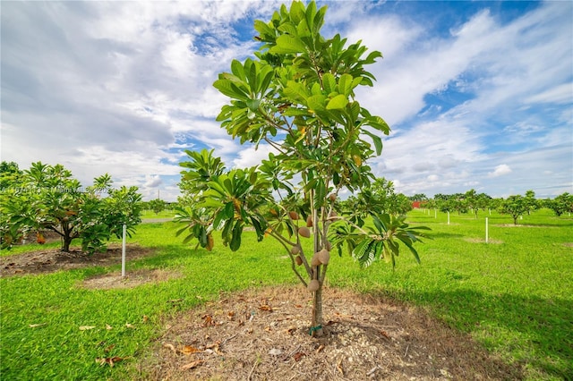 164 164, Kendall, FL 33187