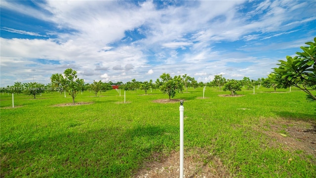 164 164, Kendall, FL 33187