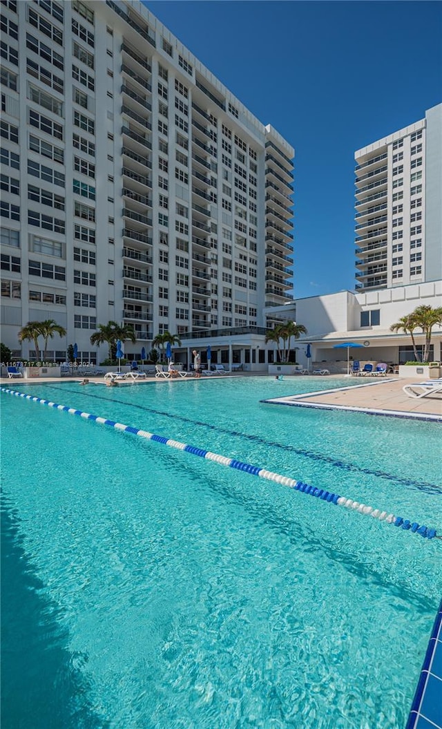 view of swimming pool