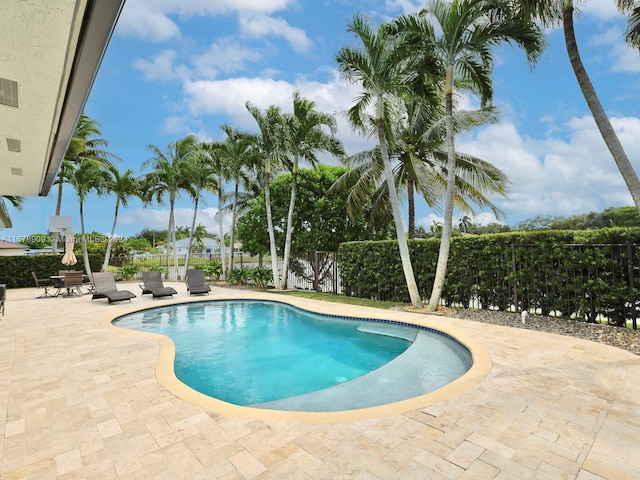 view of pool featuring a patio area