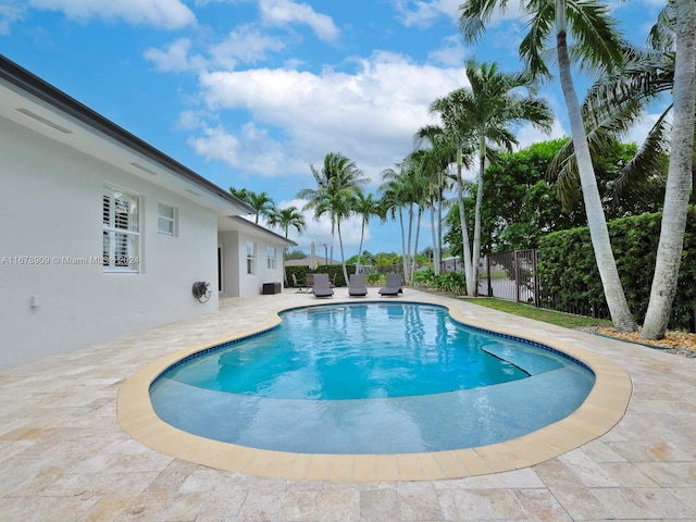 view of pool with a patio area