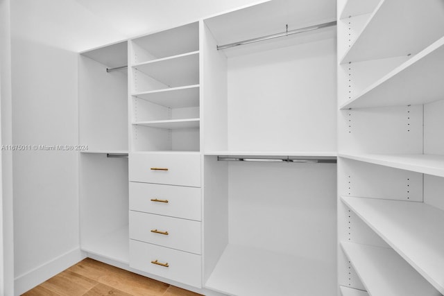 walk in closet featuring light hardwood / wood-style flooring