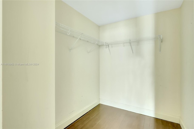 walk in closet with dark wood-type flooring