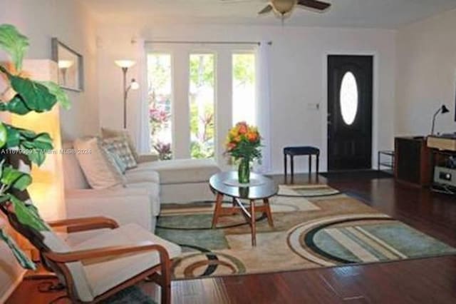 living room with ceiling fan and wood-type flooring