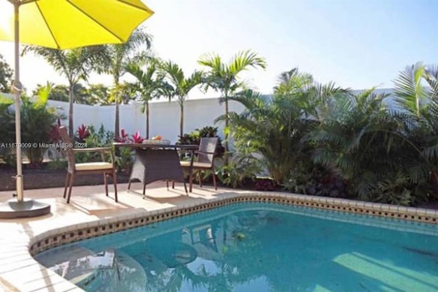 view of swimming pool with a patio