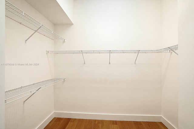 walk in closet featuring hardwood / wood-style flooring