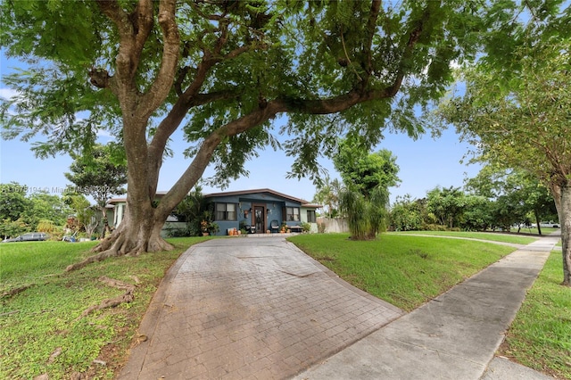 ranch-style home featuring a front yard