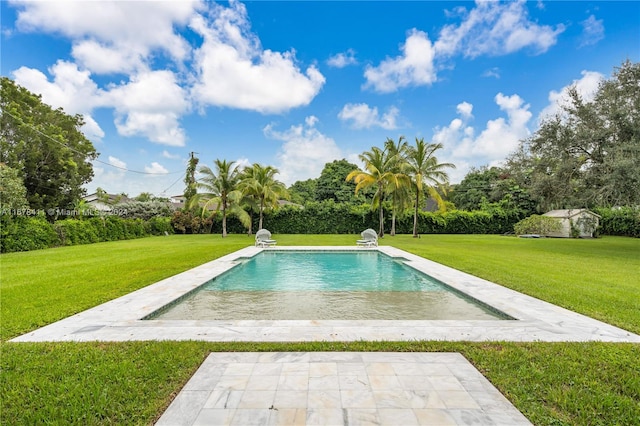 view of pool featuring a patio, a storage unit, and a lawn