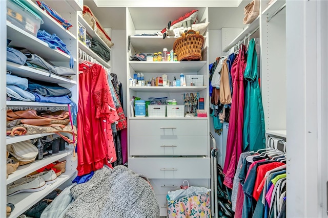 view of spacious closet