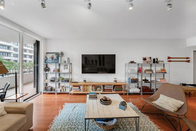 living room featuring track lighting and hardwood / wood-style flooring