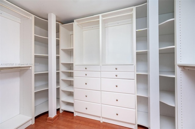 walk in closet featuring wood-type flooring