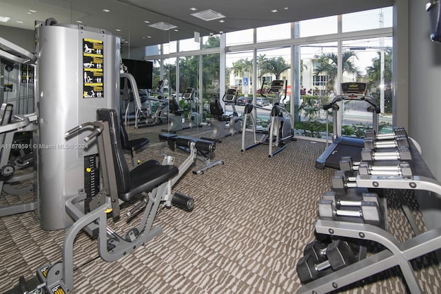 exercise room featuring carpet flooring and floor to ceiling windows