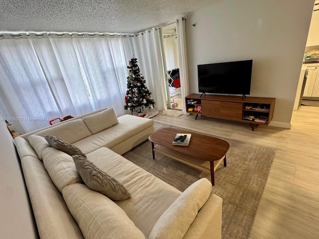 living room featuring light wood-type flooring and a textured ceiling