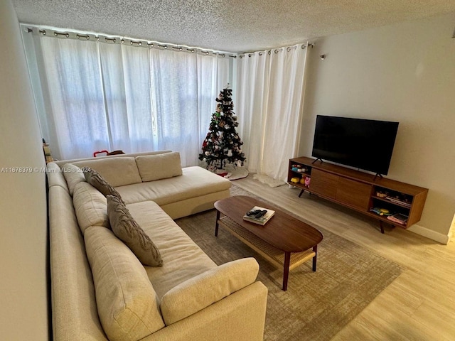 living room with a textured ceiling and hardwood / wood-style flooring