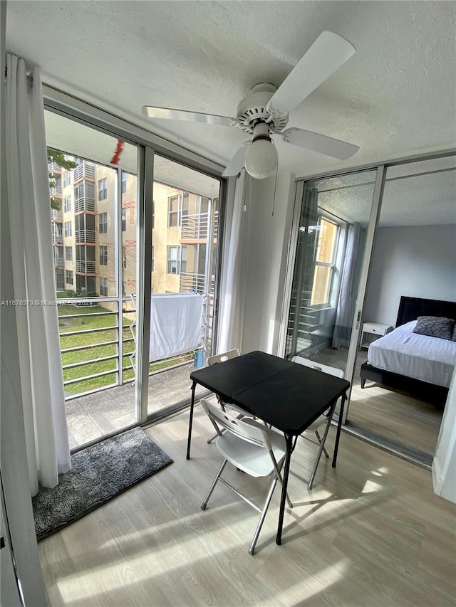 interior space featuring ceiling fan, a wall of windows, a textured ceiling, and light hardwood / wood-style flooring