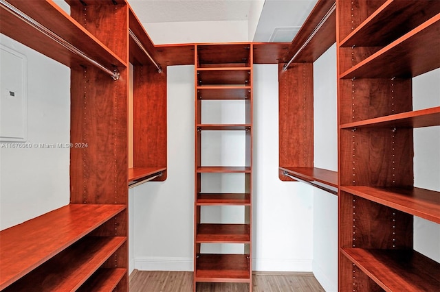 spacious closet featuring light wood-type flooring