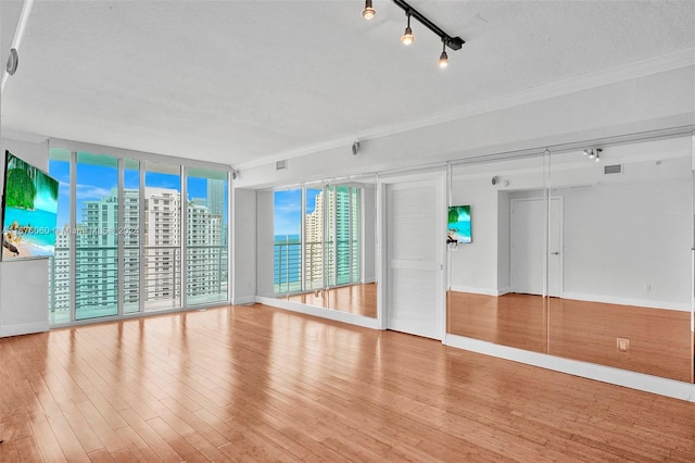 workout area featuring crown molding, expansive windows, a wealth of natural light, and light wood-type flooring