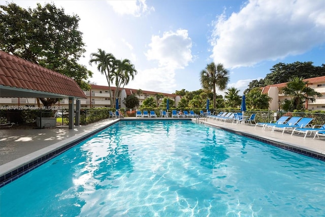 view of swimming pool