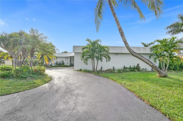 view of front of property featuring a front yard, stucco siding, and curved driveway