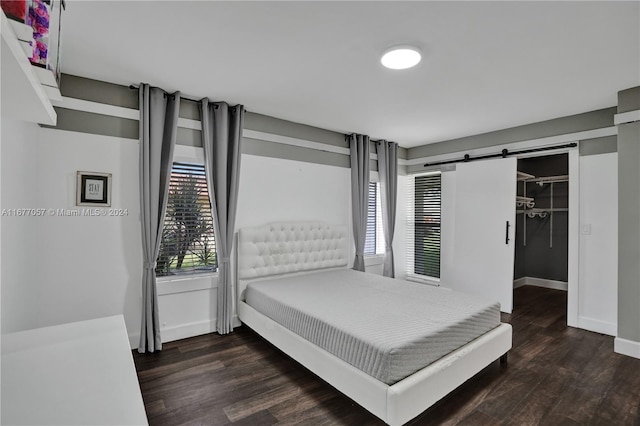 bedroom featuring a spacious closet, dark wood-type flooring, a barn door, and multiple windows