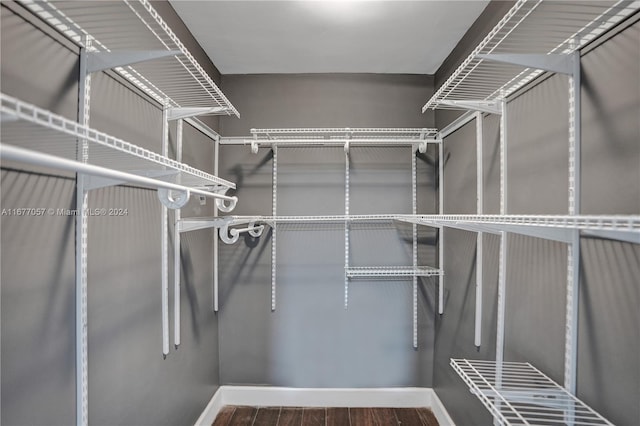 walk in closet featuring hardwood / wood-style floors