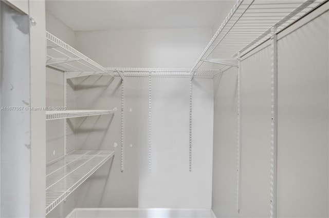 view of walk in closet
