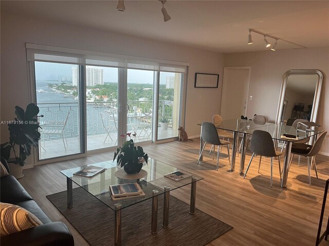 living room with hardwood / wood-style floors and rail lighting