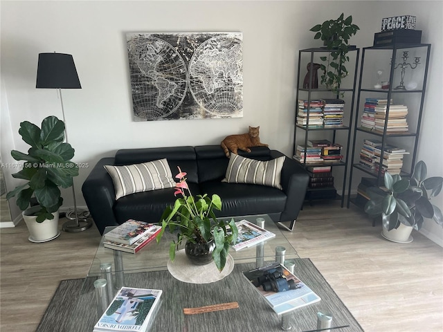 living room with baseboards and wood finished floors